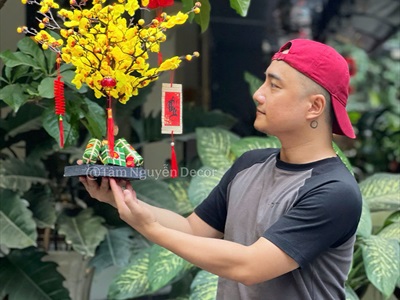 Cây Mai Đào thân gỗ để bàn [Tỉ mỉ - Nhẹ] C50cm CAYCANH-TET-01